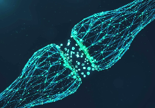 Green Myasthenia Gravis Neuron