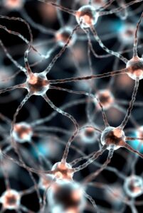 neurons with neuropathy