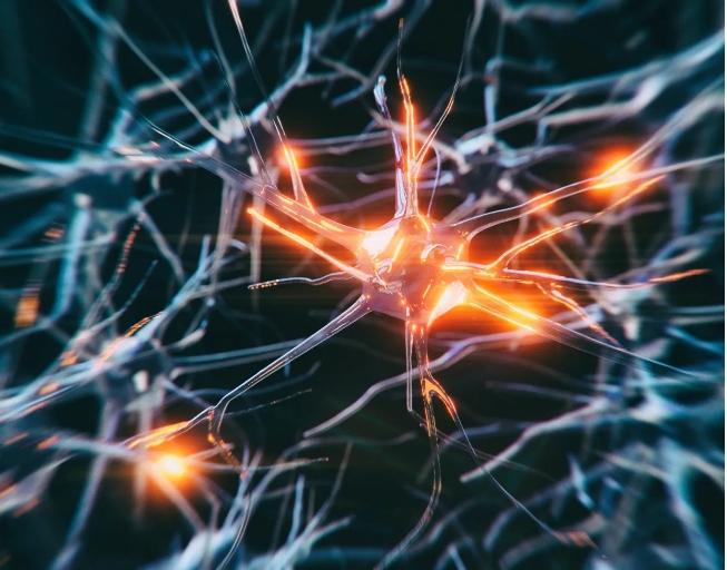Neurons with Spinal Muscle Atrophy